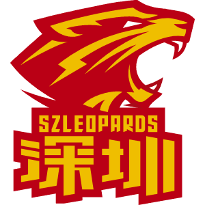 深圳新世纪后备队